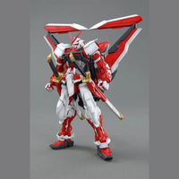 Bandai MG 1/100 Misty Gundam Red Mechanical Mod "Mobile Suit Gundam SEED DESTINY"