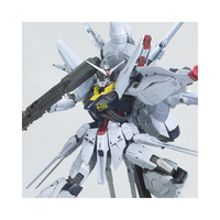 Bandai MG 1/100 天意高達《機動戰士高達SEED》