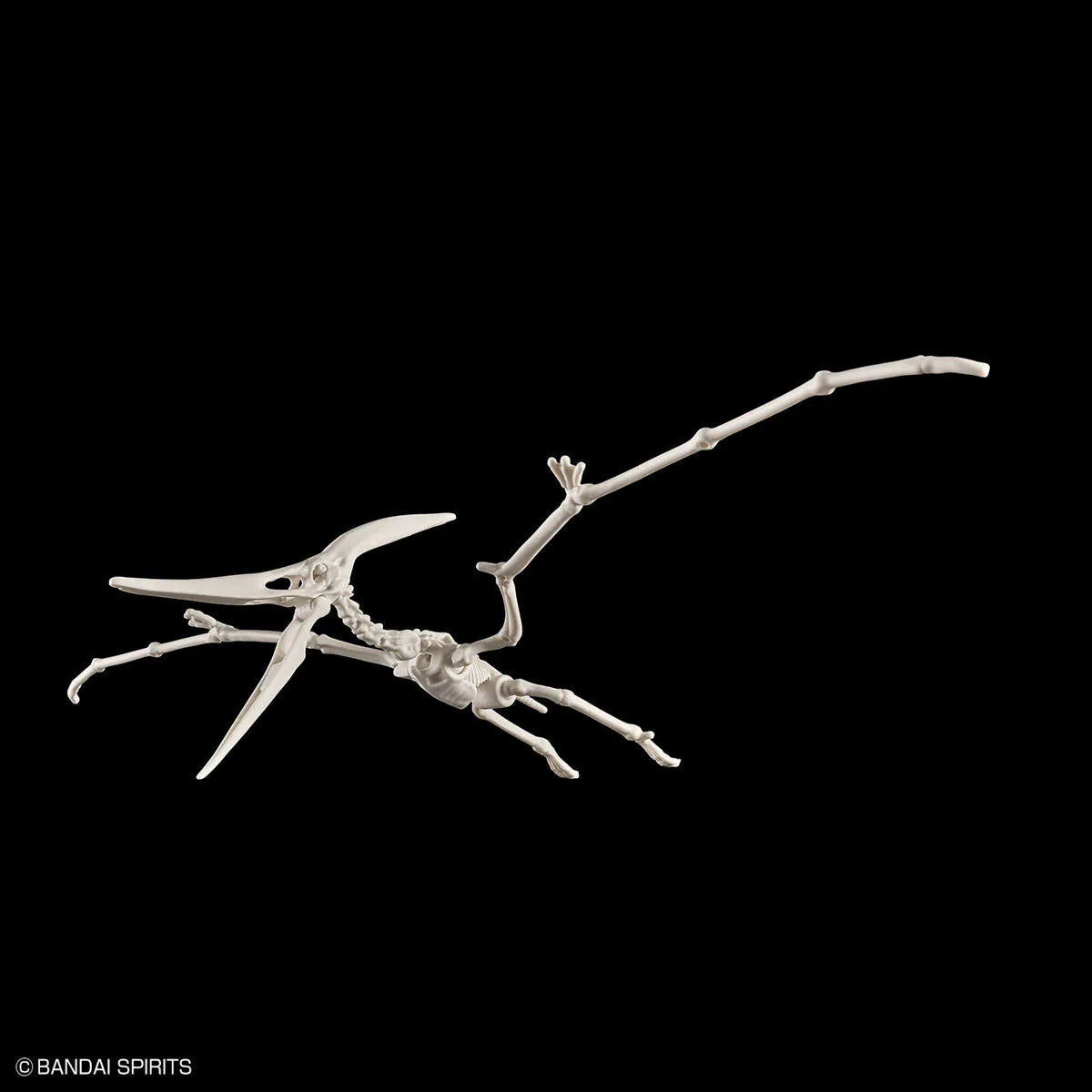 Bandai 新恐龍模型系列 翼龍